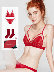 Miss Curiosity | Red French Lace Bra Set Small Chested
