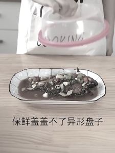 100pcs Food Grade Disposable Plastic Wrap Fresh keeping Film Cover100片食品级一次性保鲜袋套家用剩菜密封-Penutup Plastik Beg