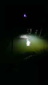 หลอดเกลียว 45 วัตต์ ไฟล่อแมลง ล่อแมลง ประหยัดพลังงาน 18 วัตต์ วัตถุประหยัด