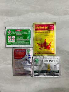 Combo phòng bại liệt Ngan Vịt Gà Con Chống Tiêu Chảy Khô Chân giai đoạn úm