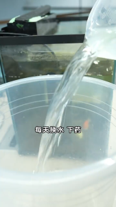 Fish tank opening sheet 鱼缸开缸片(养鱼必备) Water purification agent Fish tank disinfection and sterilization sheet 水质净化剂 鱼缸消毒杀菌片