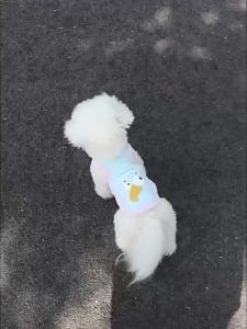 Summer Pet Cooling Vest Breathable Ice Silk Dog Cat Shirt Lightweight Cartoon Puppy Kitten Clothes for Hot Weather Wear
