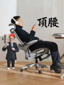 BOJOJAN | Ergonomic Comfort Chair