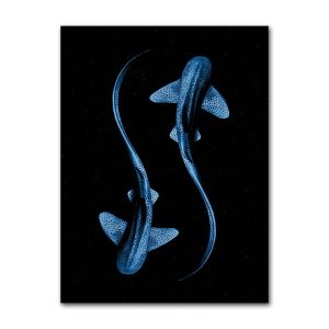 BILIBILI | Retro Sea Animal Cyanea Jellyfish Squid Shark Minimalist Art Poster Canvas Painting Wall Prints Picture Living Room Home Decor