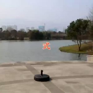 Ultimate Guide to BIG Parasol Umbrellas