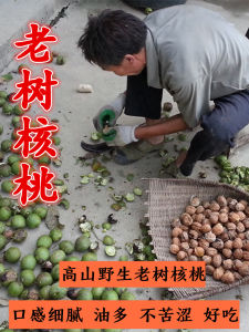 2025 New Stock Wild Mountain Walnut Core Original Flavor Pregnant Women Nuts Non-Thin Paper Skin Shaanxi Baoding Huaian
