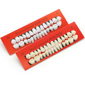 other | 28teeth Resin Denture Teeth Comparator Mirror Dentistry Bleaching Dental Plate Research On Dental Education Model Dental Tools