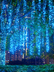 No Brand | Waterproof Outdoor Star LED String Lights