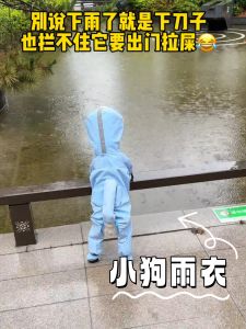 Pet Raincoat for Medium Large Small Dogs Four Legs Full Wrap Dog Walking Tool Rainy Day Dog Clothes Casual Style Pet Supplies