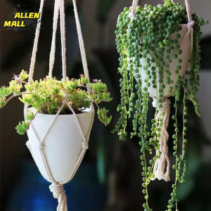 Self-Watering Hanging Succulent Planters & Eggshell Pots: A Comprehensive Guide