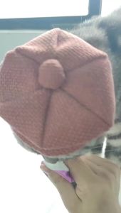 S/L Hat Retro Newsboy Caps Pet Beret Hat Pet Dress Up Hat Photoshoot Cat Accessories Puppy Cap Headgear For Pet Dogs Cats Gift