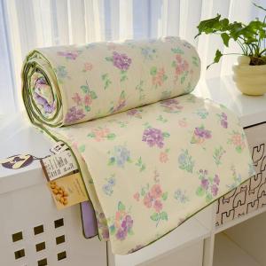 Washable Air Conditioning Suitable Summer Quilt for Children