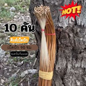ส่งฟรี✅ เบ็ดปัก เบ็ดปักไม้ไผ่ คันเบ็ด ยาว 90 ซ.ม.10 คัน ( เบ็ดปักคันนา )