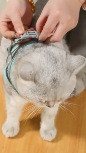 สายจูงแมวรัดอก จูงหมา สําหรับสัตว์เลี้ยง, สุนัข แมว กระต่าย ขนาดเล็ก เสื้อจูง ผ้าตาข่าย พร้อมสายจูง บสัตว์เลี้ยง