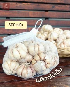 กระเทียม (คัดพิเศษ) ไซส์ใหญ่เนื้อเยอะ ❌️ไม่ฝ่อและไม่ขึ้นรา ราคาประหยัด