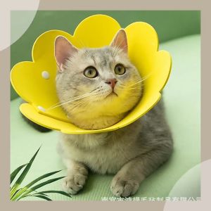 [Clearance Stock Malaysia] Ship 24 Hours⚡ Sunflower Cat Neck Ring Anti Licking and Scratch Kolar Kucing Pet Accessory