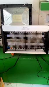 Đèn bắt muỗi Rạng Đông DBM02 tiêu diệt muỗi côn trùng hiệu quả an toàn không tốn điện bảo hành 1 năm chính hãng