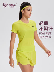 Womens Sport T-shirt Breathable Quick Dry Mesh Slimming Professional High-End Feeling Fitness Running Top Summer Collection