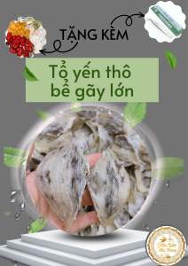 100% nguyên chất- tổ yến thô gãy bể lớn  50g tặng nhíp