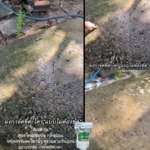 ผงขจัดคราบตะไคร่น้ำ (2 แถม) - สูตรใหม่ที่ไม่ต้องขัด: ผงจำกัดคราบตะไคร่น้ำ ผงขัดพื้น น้ำยาขัดพื้น ขัดห้องน้ำ