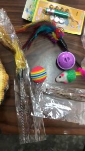10 in 1 set all in one cat toy mainan kucing pet cat toy combination set cat toy ball chaser laser fish