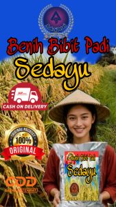 Terbaru Benih Padi Sedayu kemasan 5Kg Original Berkualitas