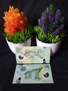 Koleksi Uang Asing Polymer Papua New Guinea 2 Kina 2007