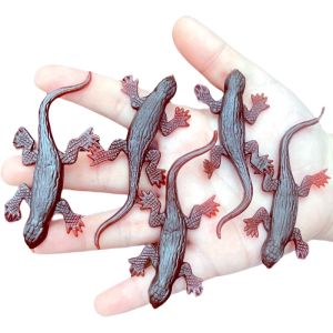 Đồ Chơi Mô Hình Động Vật Giả Miniature Wall Lizard Four-legged Snake Small Turtle Realistic Doll Fish Toy for Kindergarten Children