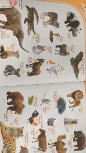 Audio book Bahasa Melayu&English Learning education toys Baby toys Story book for kids Sound book Toys for kids