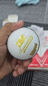 ZAP Tournament White Cricket Leather Ball (156GMS)