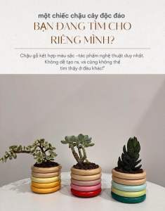 Color Ring(Vòng Sắc Màu) : Chậu gỗ mini Chậu mini độc đáo với thân gỗ tự nhiên kết hợp nhiều lớp vòng màu rực rỡ. Không lo nứt vỡ nhờ độ bền cao thiết kế chống thấm & thoát nước 2 lớp cực tiện lợi. Màu sắc nghệ thuật như một tác phẩm decor.