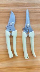 Gunting Dahan Ranting Stek Pruning Stainless Peralatan Berkebun Daun Tanaman Super Tajam