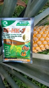 (Combo 3 gói) BS-HK-79/ PHÒNG CÁC BỆNH VỀ NẤM-KHUẨN HẠI CÂY TRỒNG / Ngăn Ngừa Đạo Ôn Khô vằn