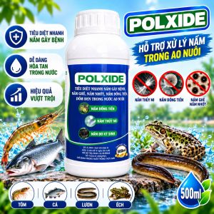 POLXIDE 500ml  – Hỗ Trợ Xử Lý Nấm Ao Nuôi Dễ Hòa Tan Trong Nước Dùng Cho Tôm Cá Lươn Ếch