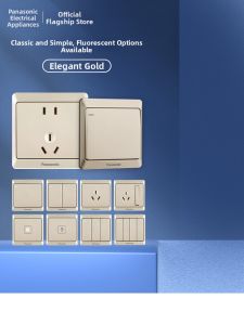 Panasonic | Golden 1 Gang 5 Holes Power Socket with USB Port