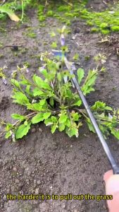 4 Teeth Stainless Steel Dual Purpose Weeders: A Portable Gardening Tool