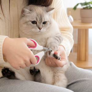 Lovinland Pet Cat Nail Clipper with Circular Cut Hole Avoiding Excessive Cutting Suitable for Beginners for Small Animals Birds Hamsters Guinea Pigs