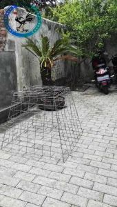 Kurungan Trapesium Galvanis 80x70x50 cm / kandang ayam trapesium ayam pisau
