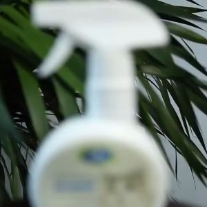 250ml PET Cat REPELLENT  Anti cat on sofa or anywhere you dont like cat to be there lasting 3 days