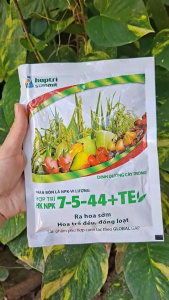 [VTNN TIEN KHOA] Phân bón lá NPK vi lượng HK NPK 7-5-44+TE giúp ra hoa đồng loạt vô gạo nhanh to củ tăng độ ngọt và màu sắc trái