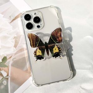 Socket Folding Grip Tok Bionic Butterfly Phone Holder 3D Effect Transparent handle insect phone Stande