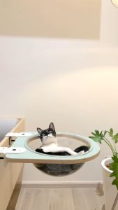 Pooch & Purrr Sky Dome ชั้นแมว 10 ปริมาณ ที่นอนแมว หลุมอวกาศ แบบไม่ต้องเจาะกำแพง