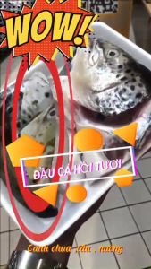 HCM - Đầu cá hồi nhập khẩu Nauy