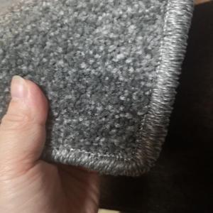 Thick Simple Color Carpet for Versatile Spaces