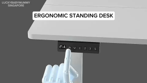 Electric Height Adjustable Desk / Ergonomic Standing Office Desk / Lifting Desk Frame / Smart Lifting Desk