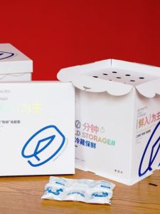 Thickened Insulated Cooling High Cake Box for Ice Cream And Pastries Double Layer with Ice Bag Free Shipping Premium Quality