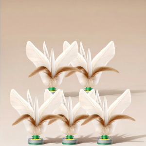 NUOXUNDE | Durable Competition Student Sport Feather Shuttlecock