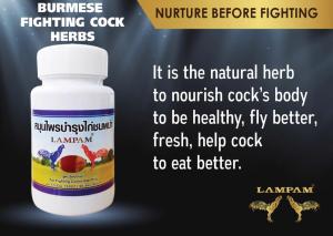 SUPLEMEN VITAMIN AYAM BANGKOK THAI HERBS BIRMA SUPLEMENT MULTIVITAMIN AYAM Import Thailand