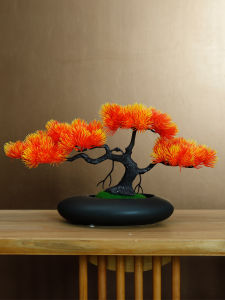 Bộ Cây Cảnh Treo Trong Chậu Bonsai Bonsai Cây Thông Bonsai Cây Cỏ Bonsai Trang Trí Nhà Bàn Trang Trí Phòng Khách Phòng Làm Việc