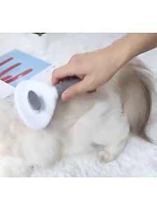 [HAKO PETSHOP] Sisir Hewan Peliharaan Sisir Kucing Anjing Hair Pet Brush with Button
